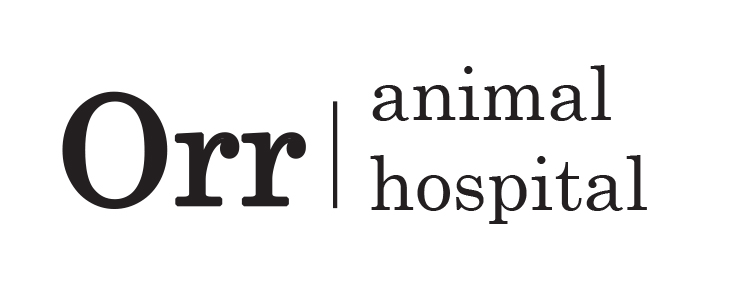 Orr animal hospital